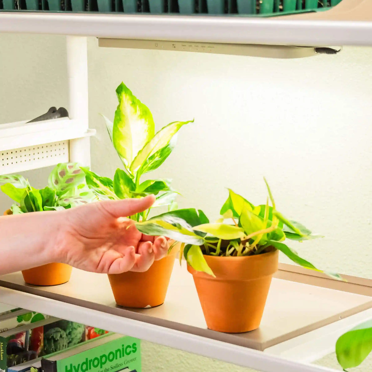 Grow Light Garden Conversion Kit
