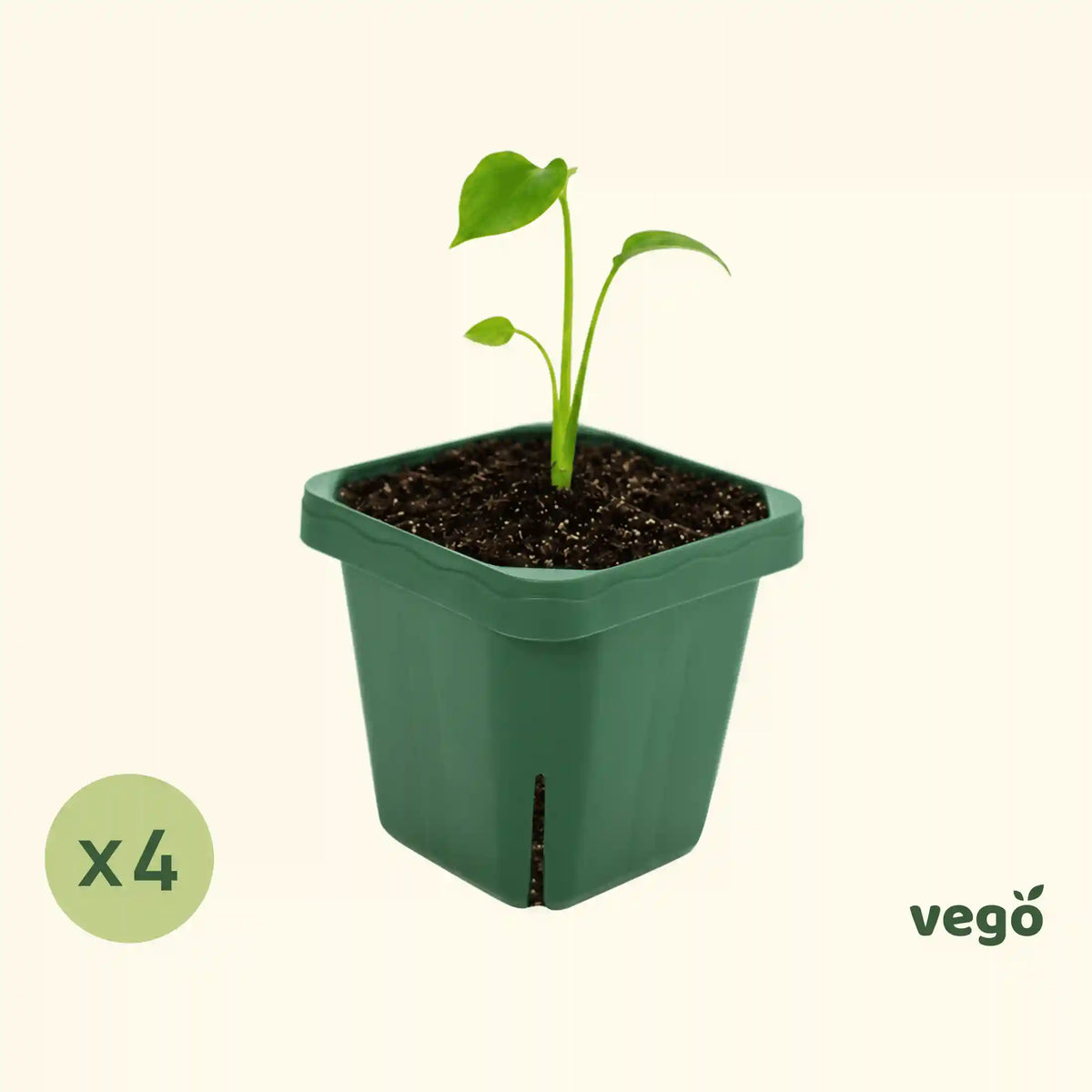Extra-Large 5" x 5" Seedling Pot - 4 Pack