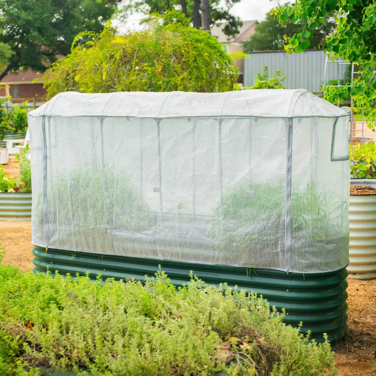 Greenhouse Frost Cover