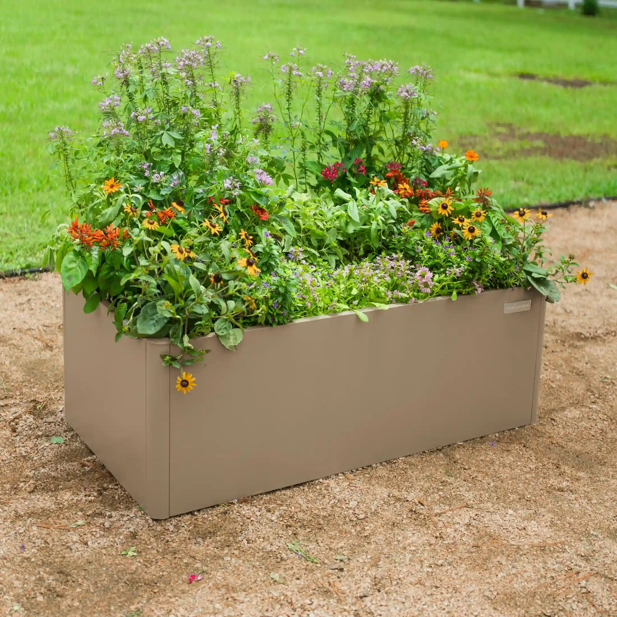 17" Tall Modern 2' x 4' Metal Raised Garden Bed