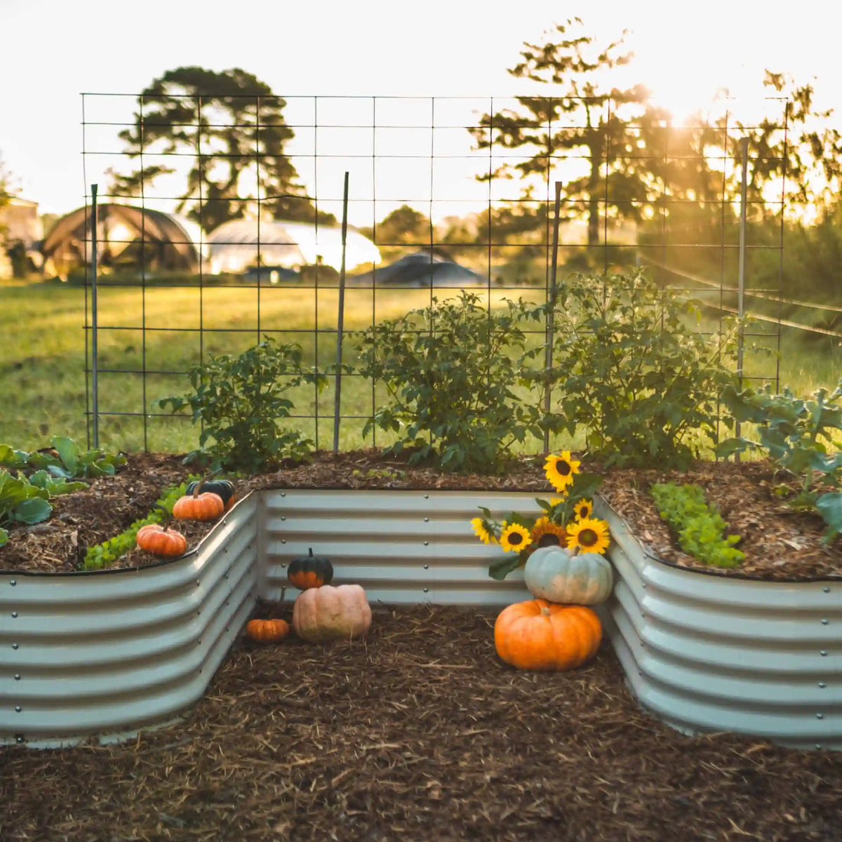 17" Tall U-Shaped Raised Garden Bed Kit - Standard Size