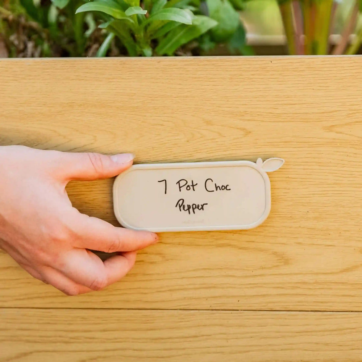 Magnetic Plant Tag - 10 Pack