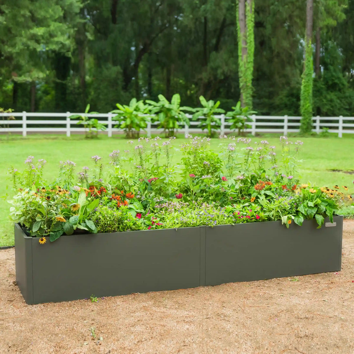 17" Tall Modern 2' x 8' Metal Raised Garden Bed