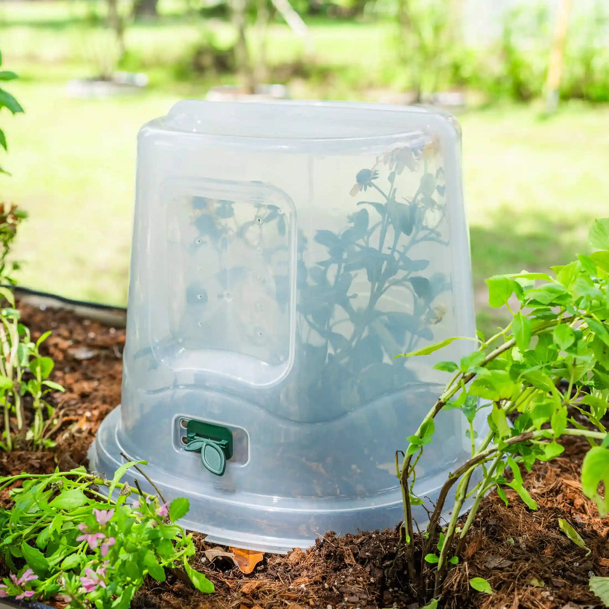 Dome Cloche Kit 