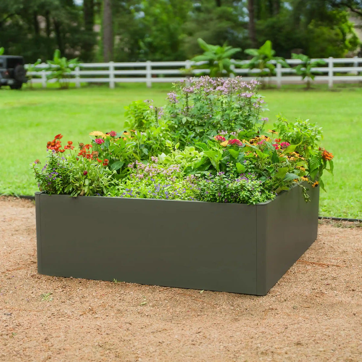 17" Tall Modern 4' x 4' Metal Raised Garden Bed