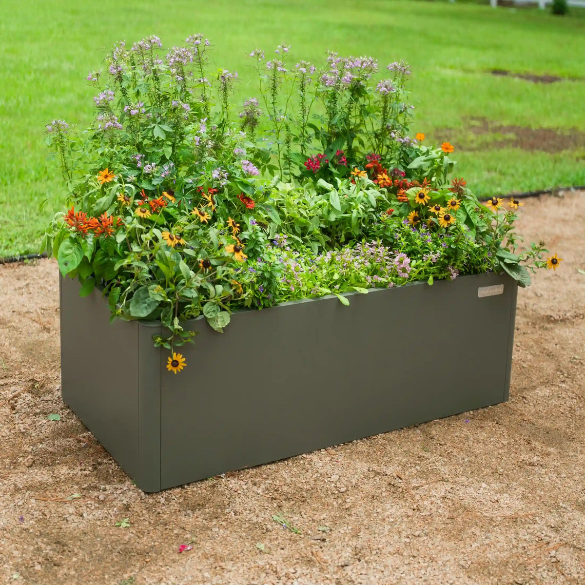 17" Tall Modern 2' x 4' Metal Raised Garden Bed
