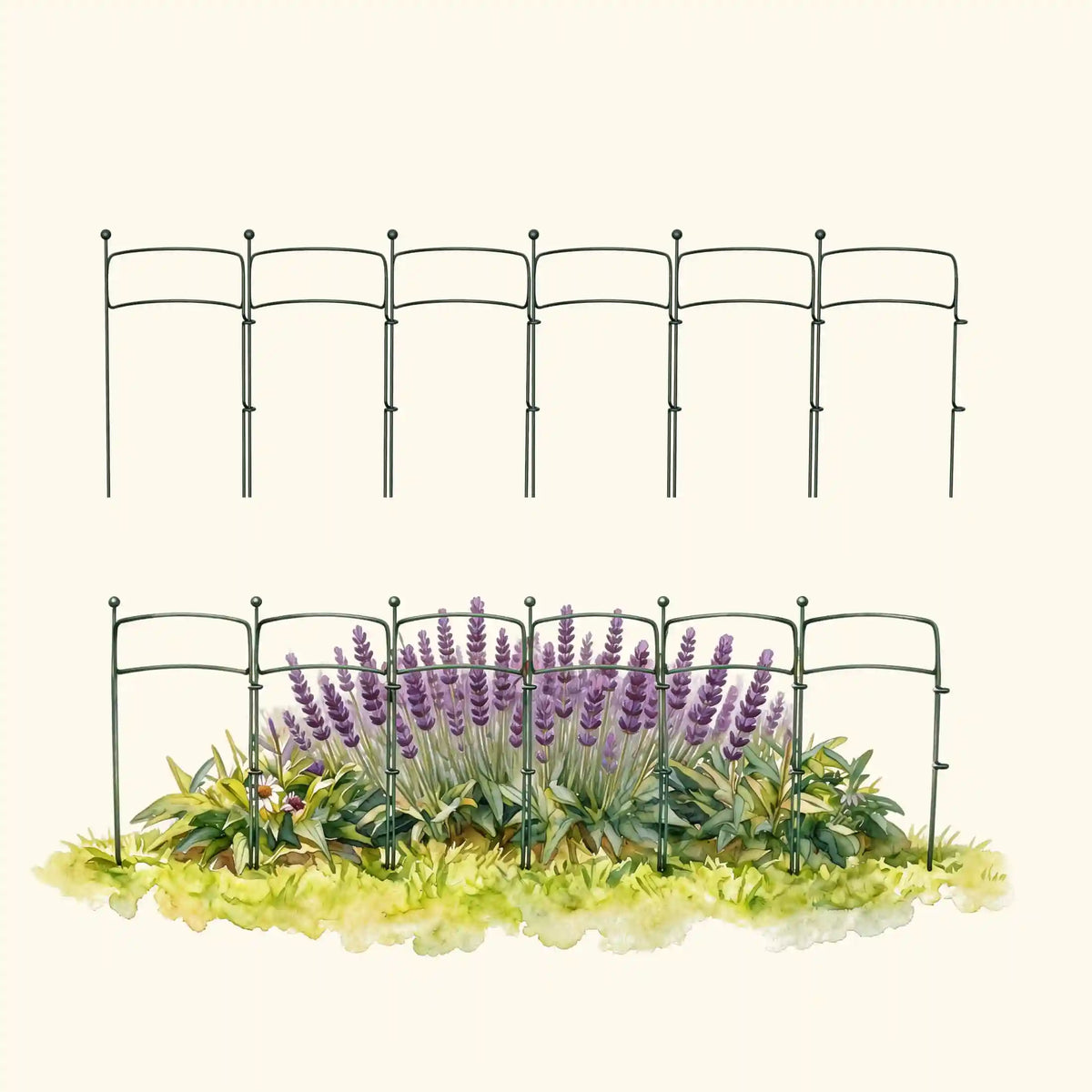 Border Plant Support Curved - 6 Pack
