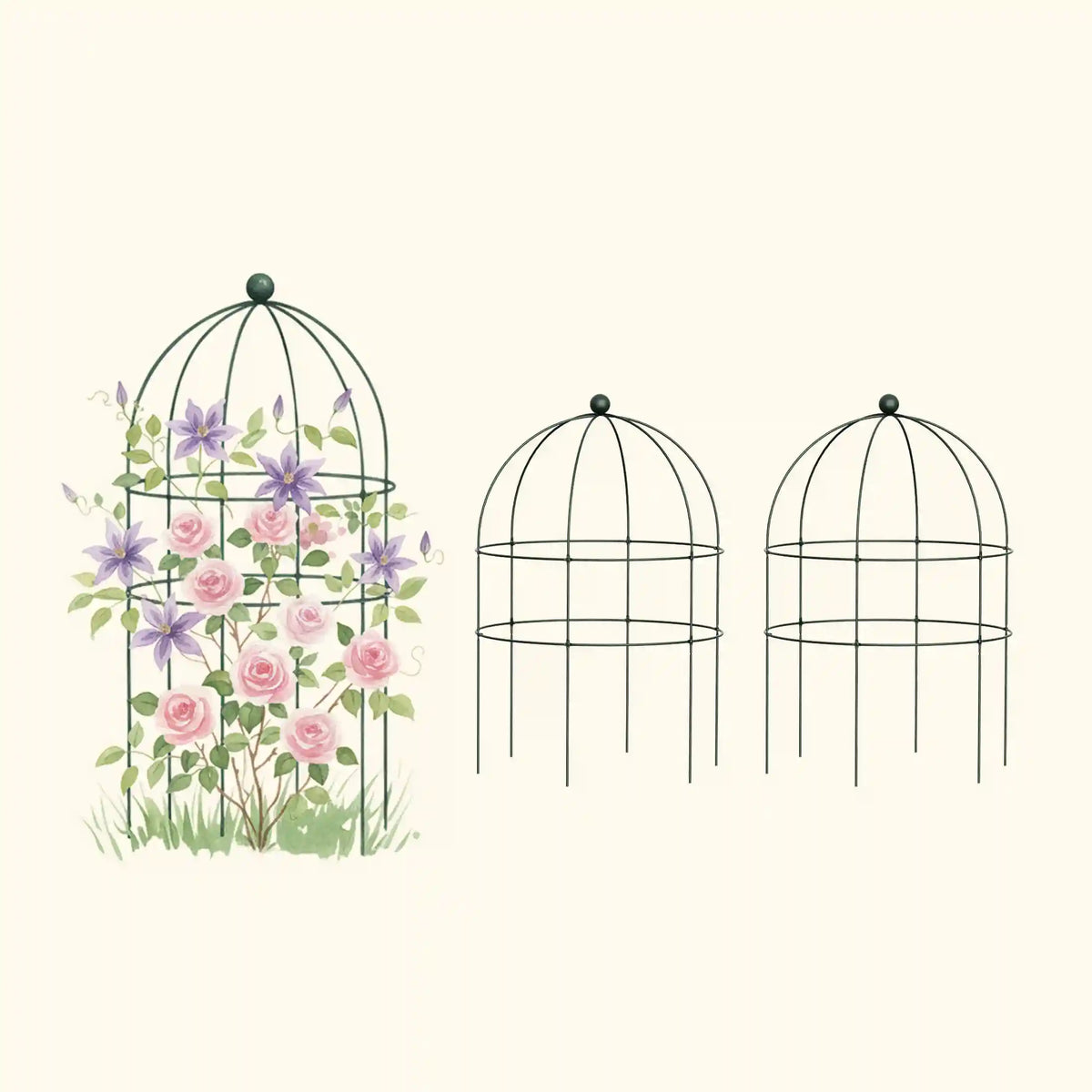 Birdcage Trellis - 2 Pack