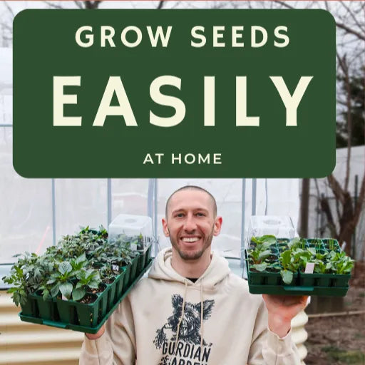 21-Day Seed Starting Challenge