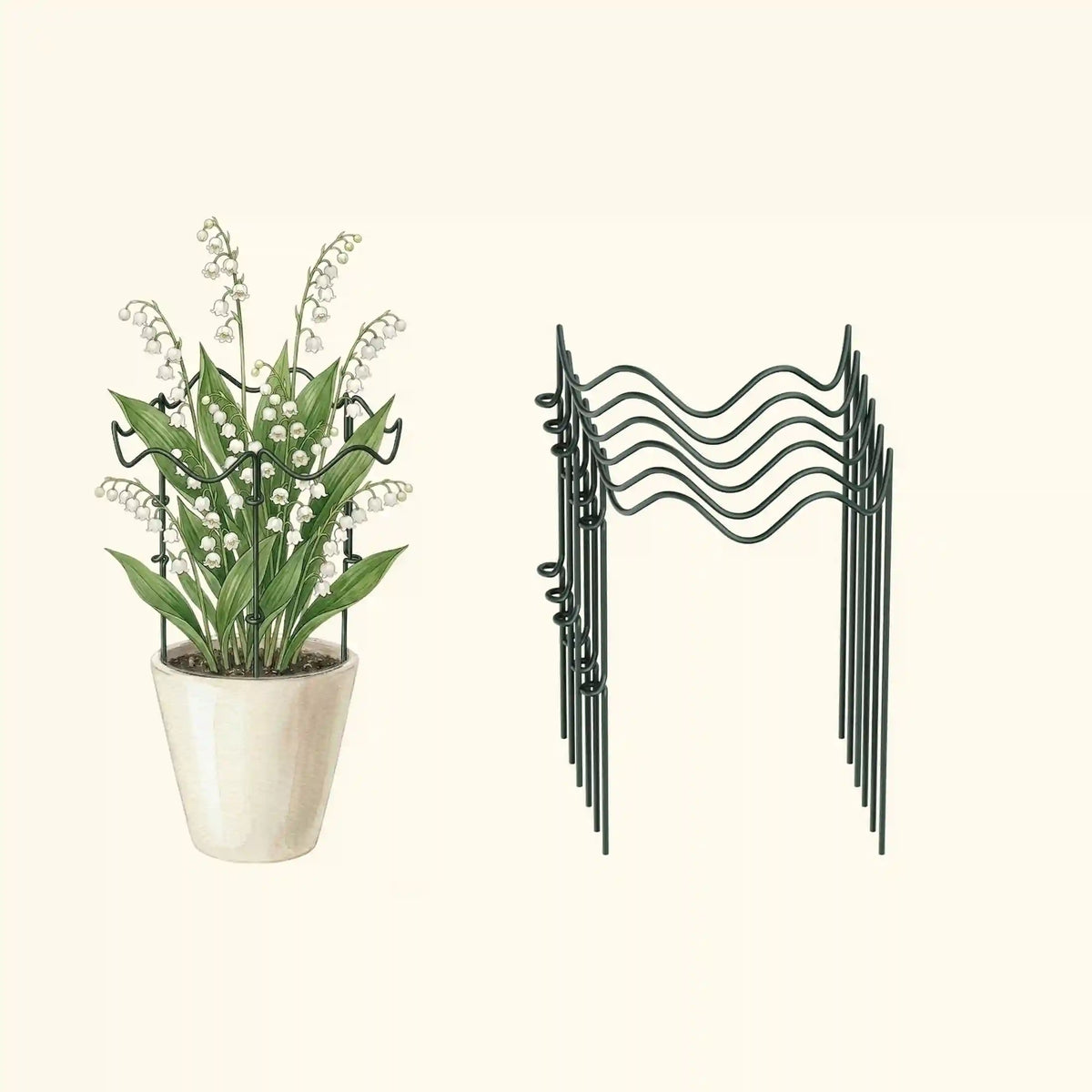 Border Plant Support Wavy - 6 Pack