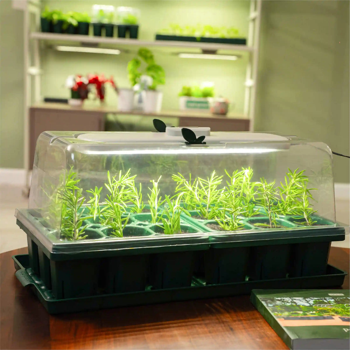 Grow Light with Humidity Dome - 10" x 20"