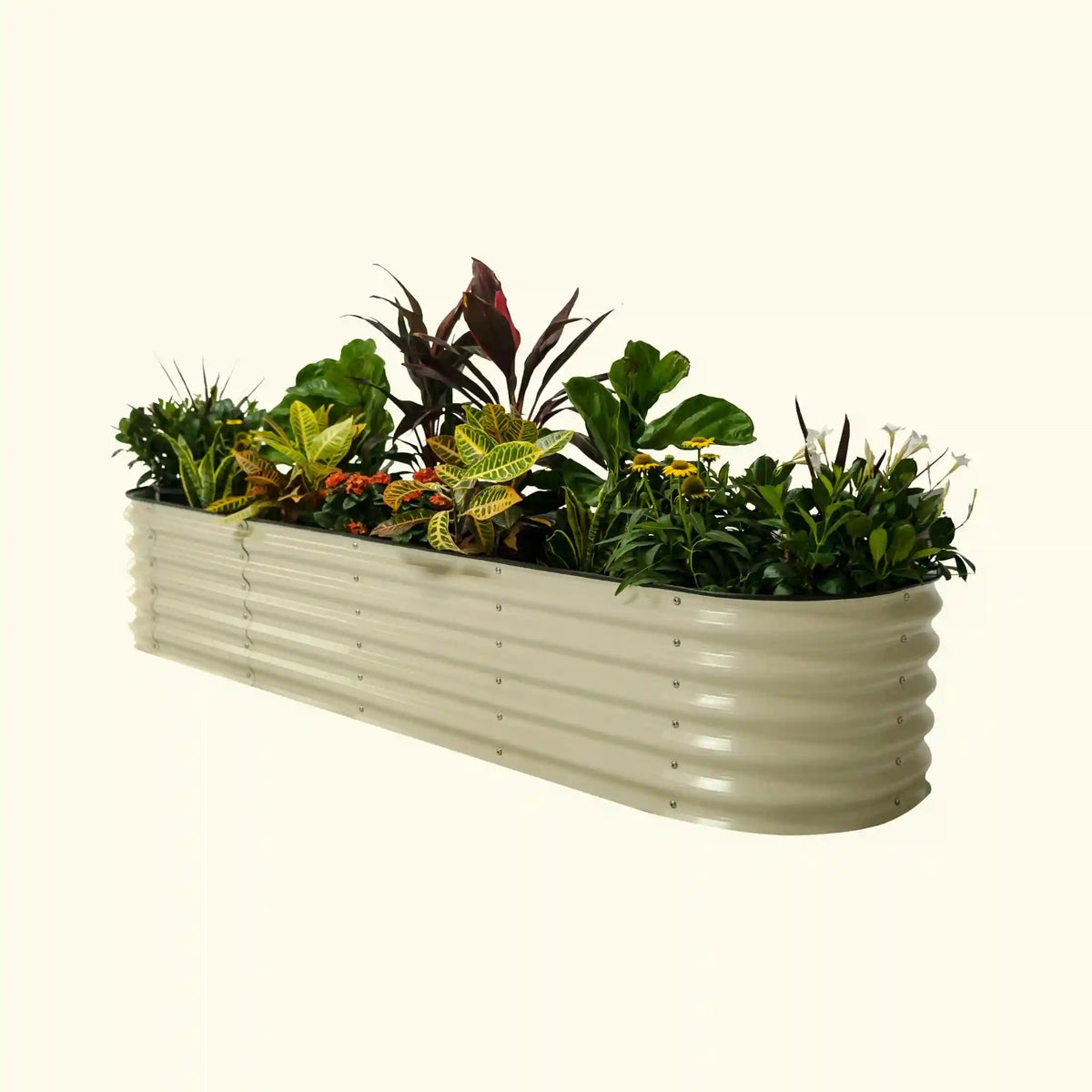 (Minor Scratch) Self-Watering Garden Bed - 2' x 6'