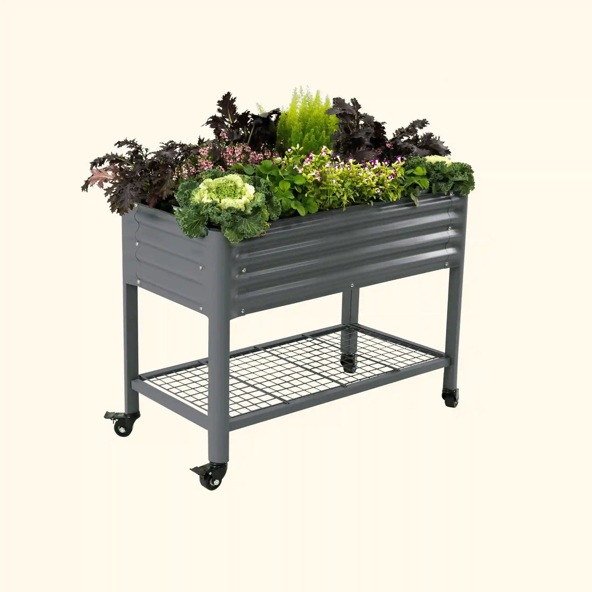 Elevated Garden Bed - 2' x 4' Wheels Included