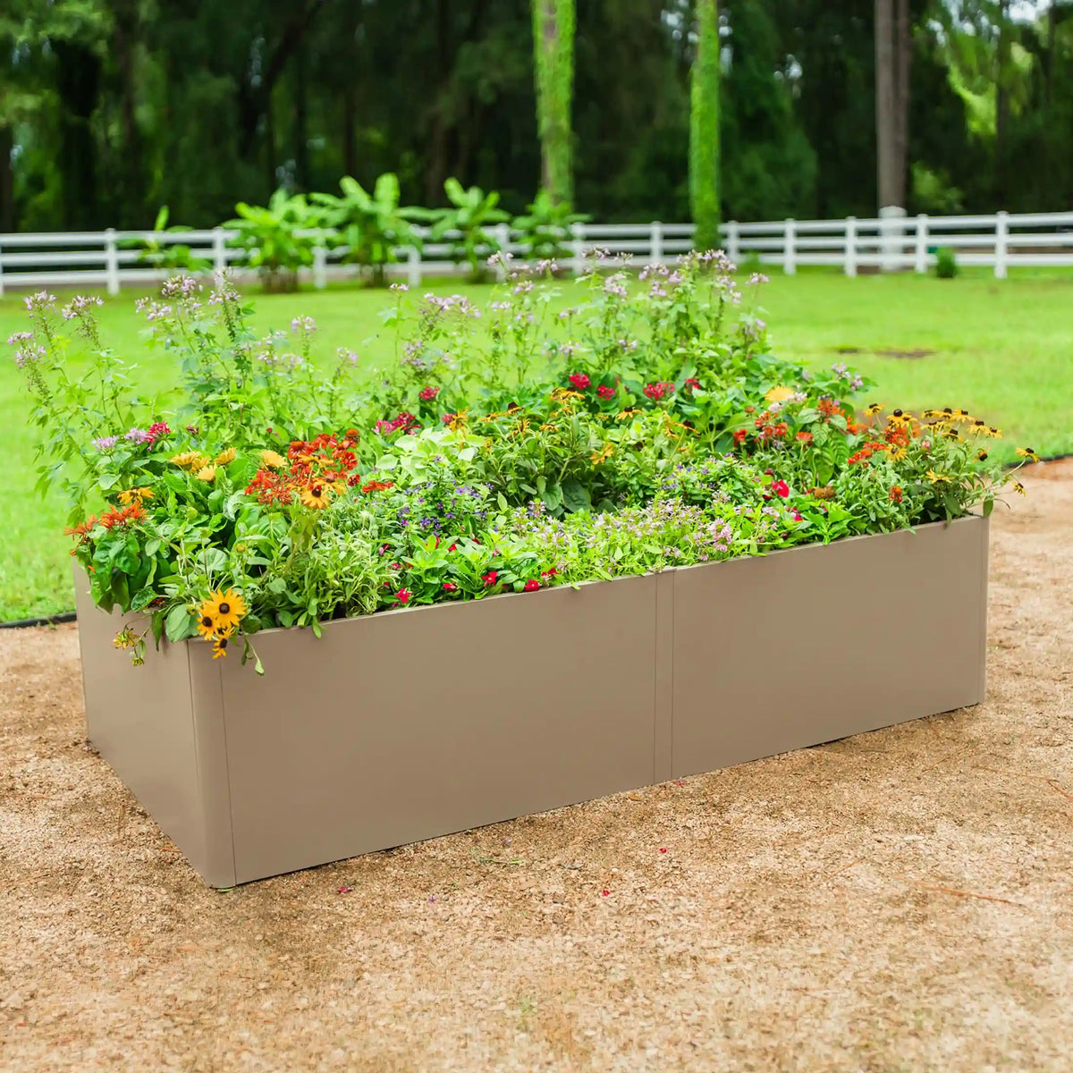 17" Tall Modern 3' x 6' Metal Raised Garden Bed