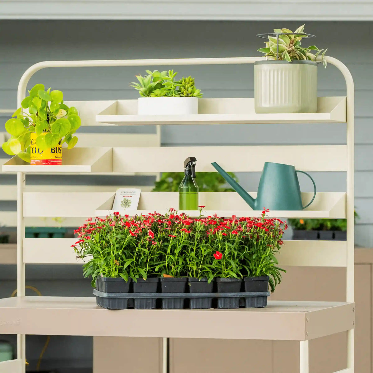 Hanging Rack Shelf Set
