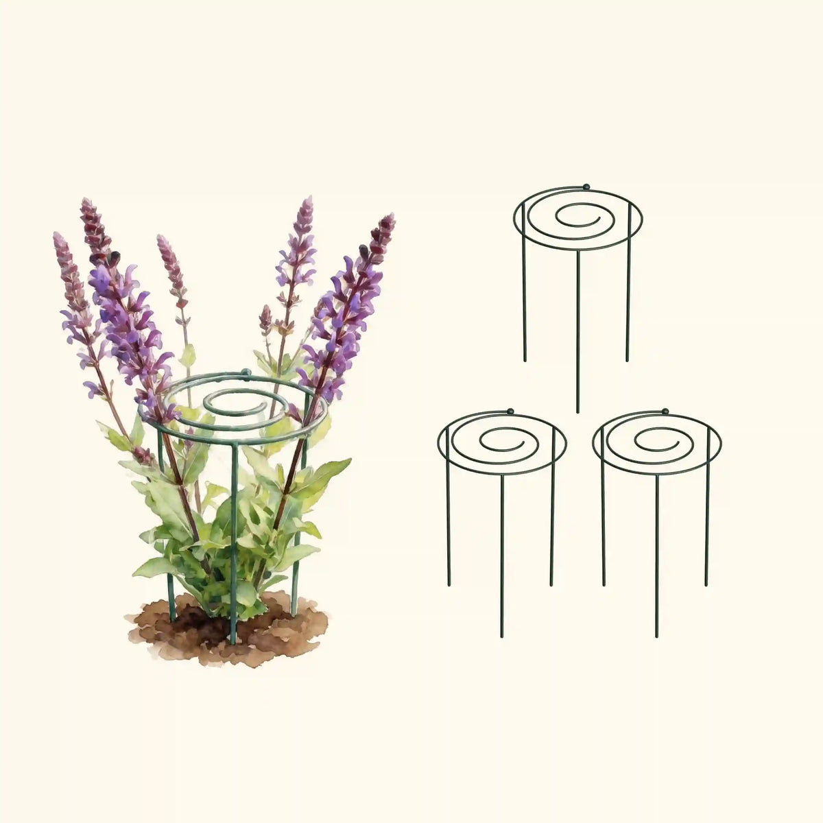 Grow Through Support - Spiral - 3 Pack