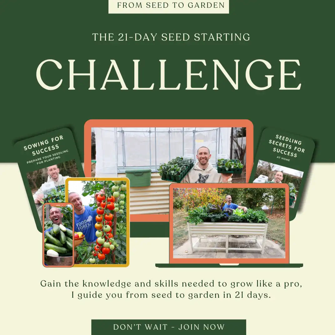 21-Day Seed Starting Challenge