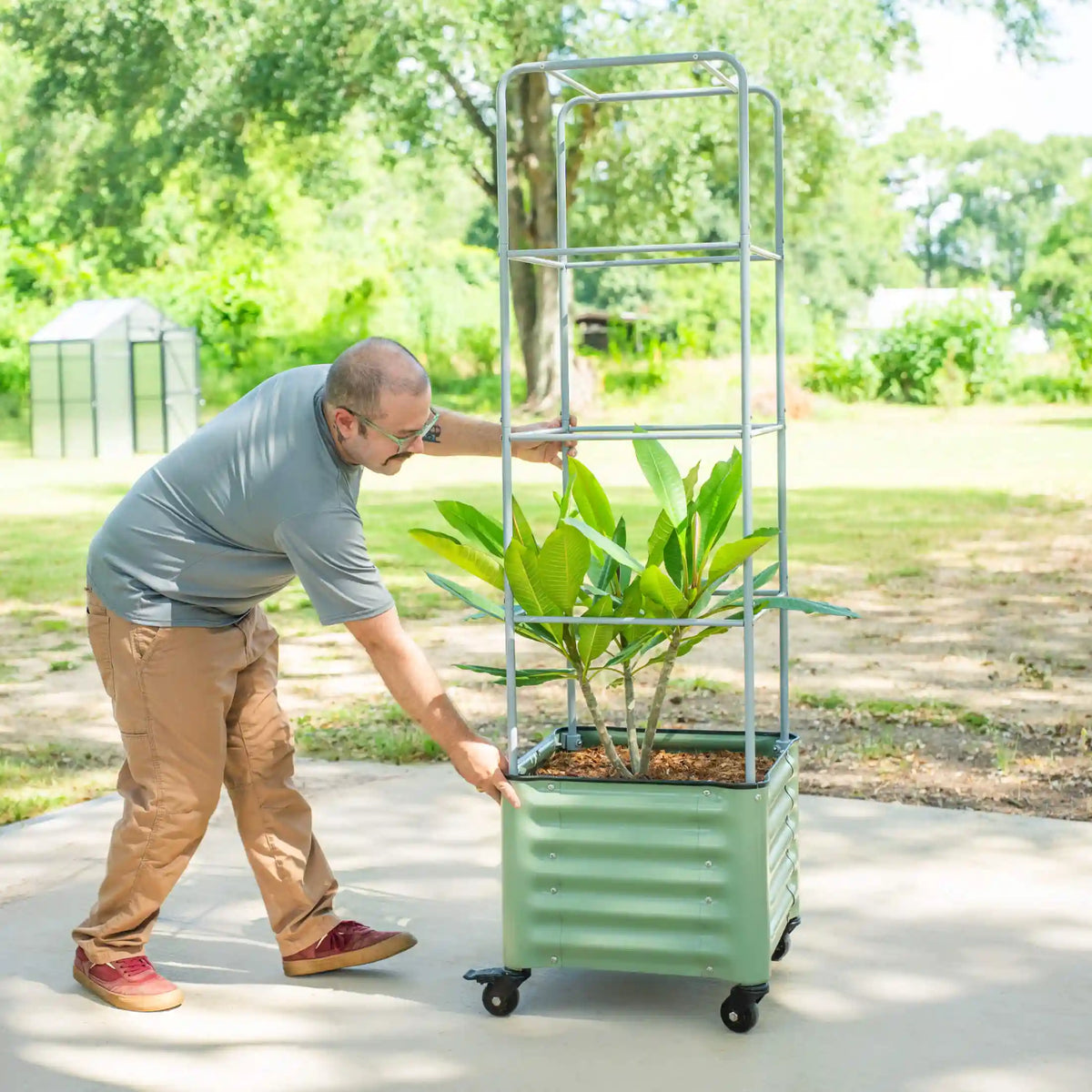 Classic Rolling Cube Tomato Planter