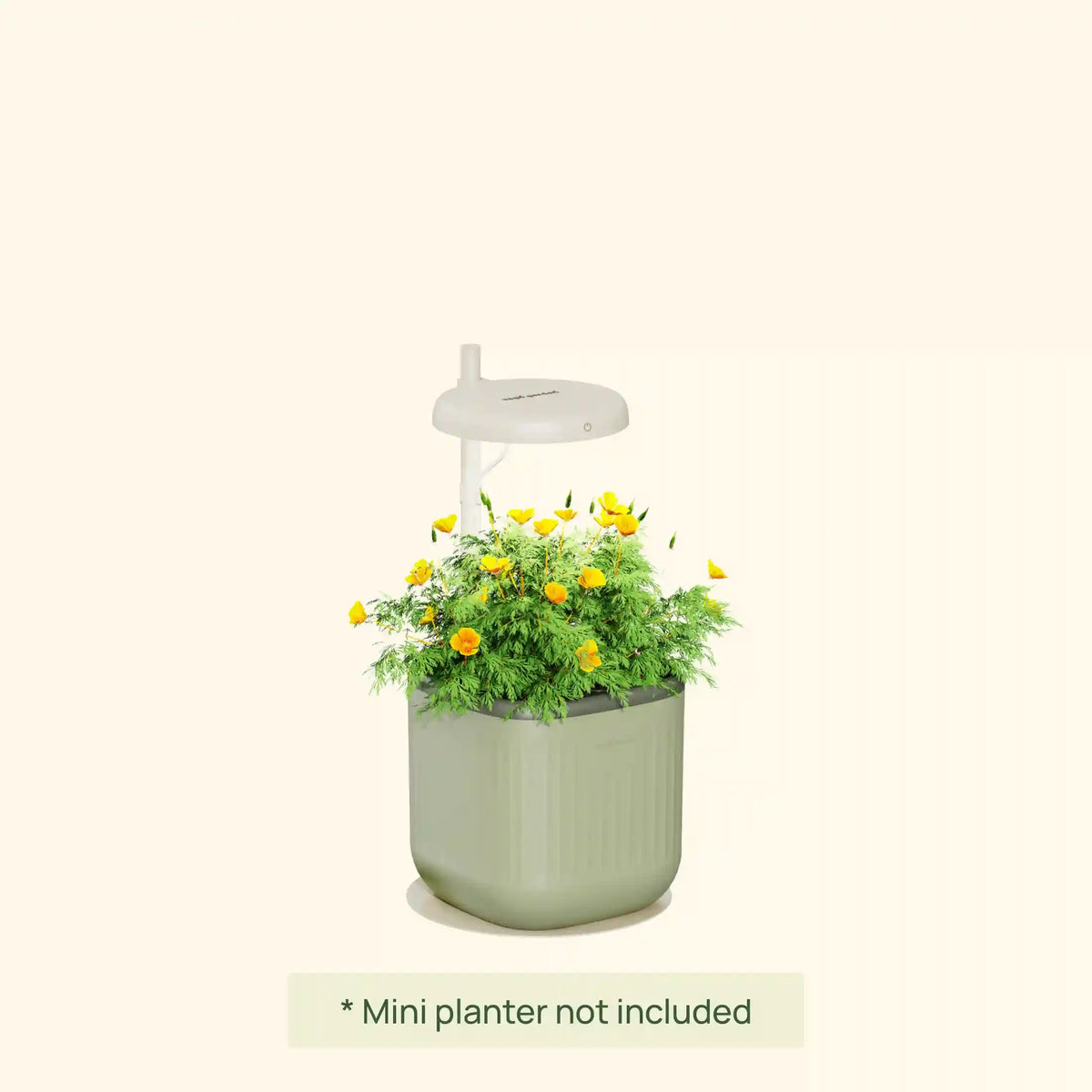 Grow Light Stand - Mini