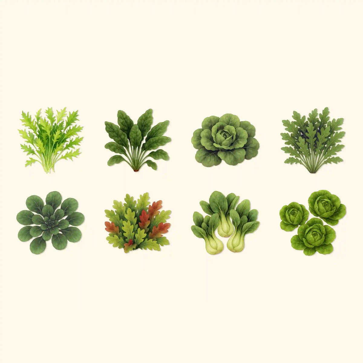 Leafy Seeds Kit