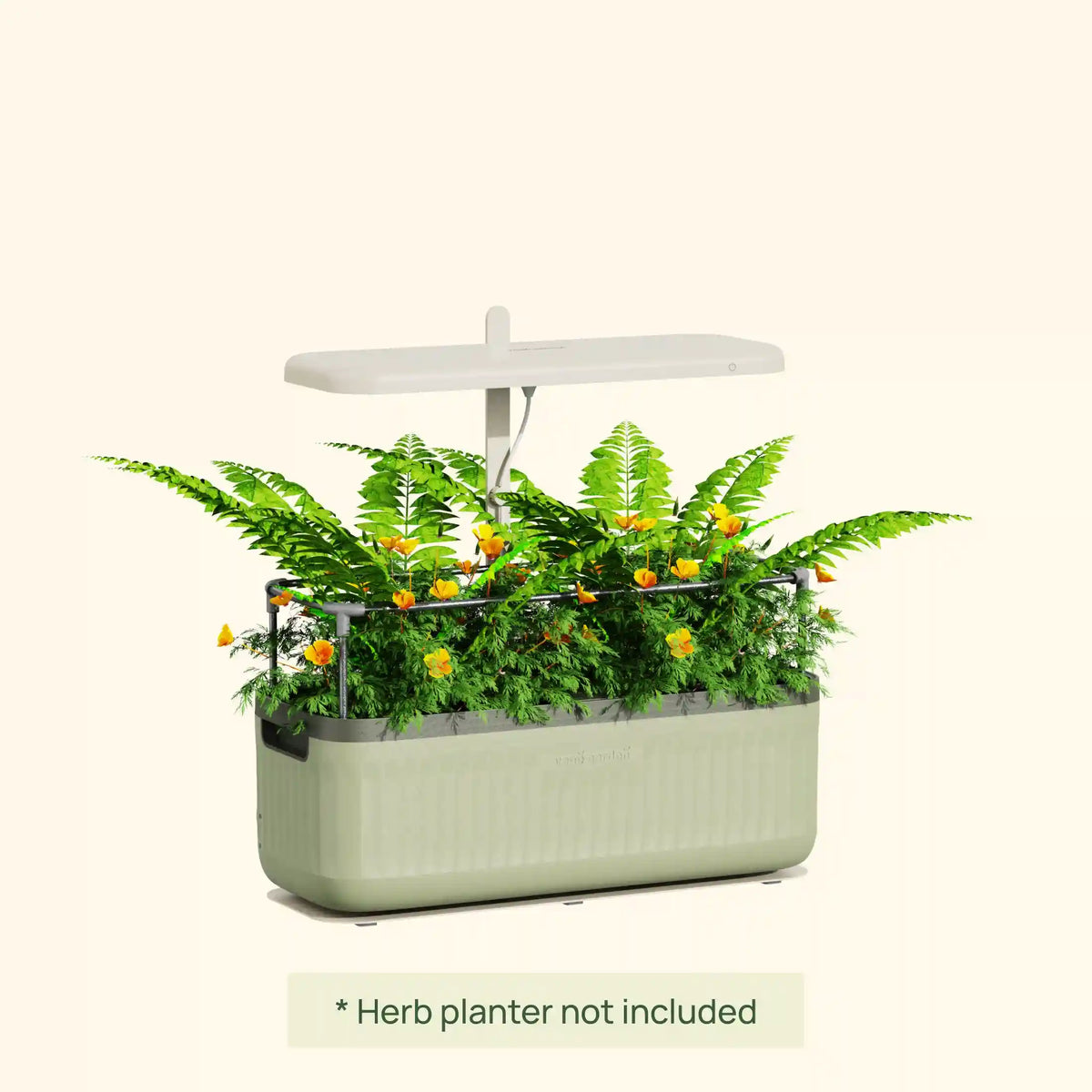 Grow Light Stand - Starter