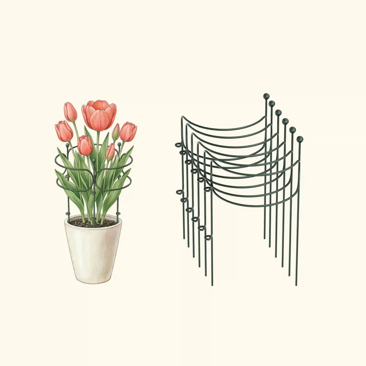 Border Plant Support Curved - 6 Pack