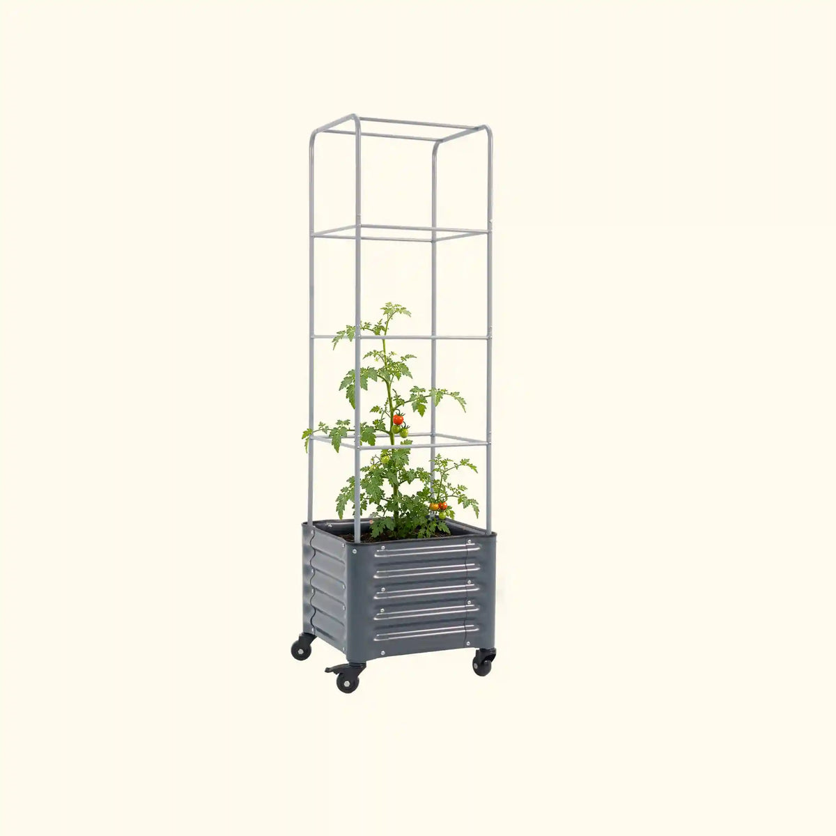 Classic Rolling Cube Tomato Planter