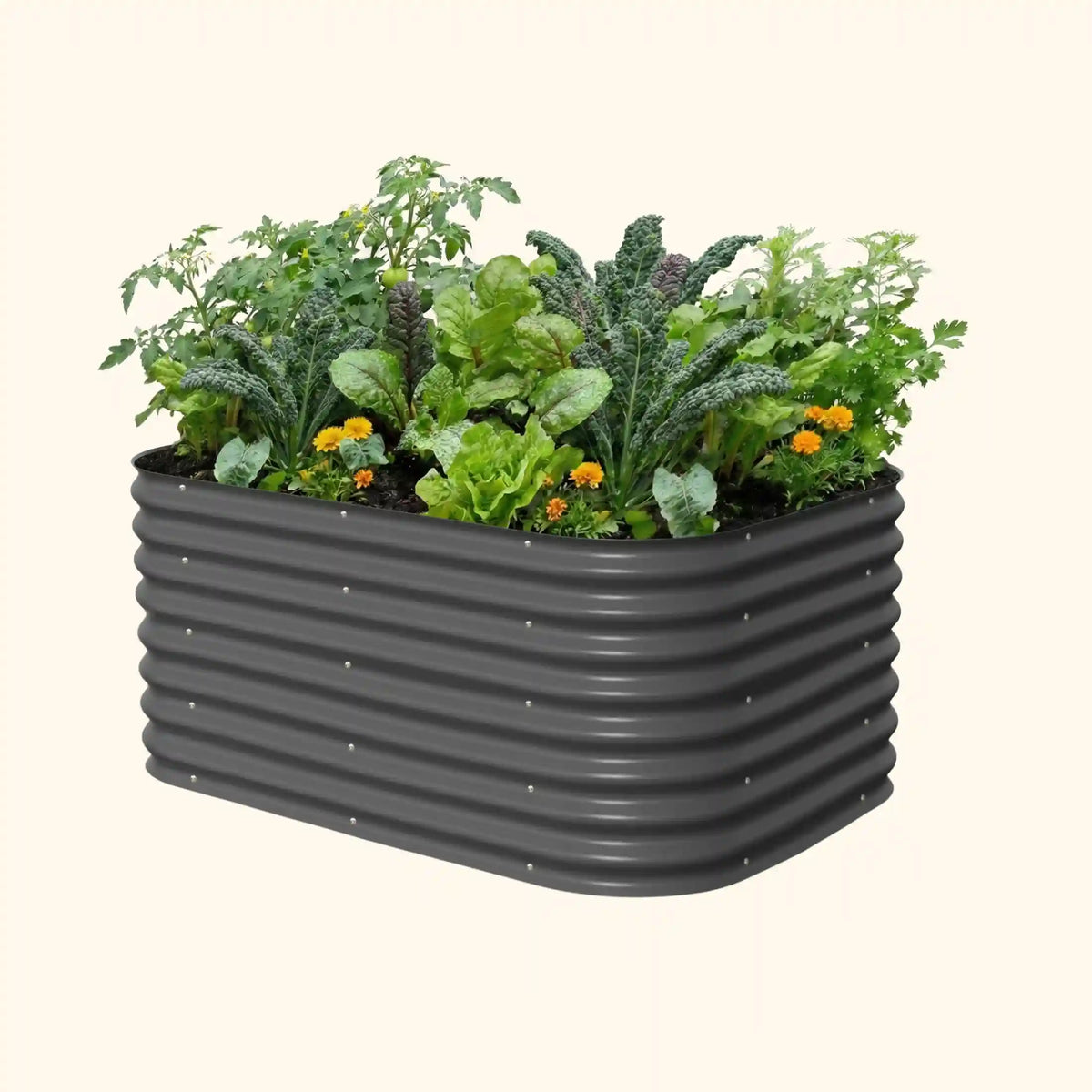 26" Tall 6 In 1 Medium Modular Metal Raised Garden Bed Kit