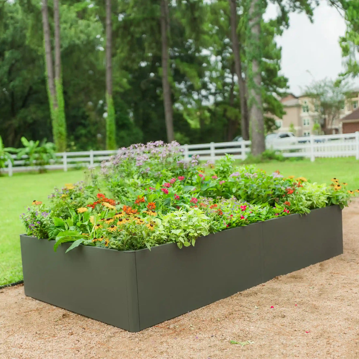 17" Tall Modern 4' x 8' Metal Raised Garden Bed