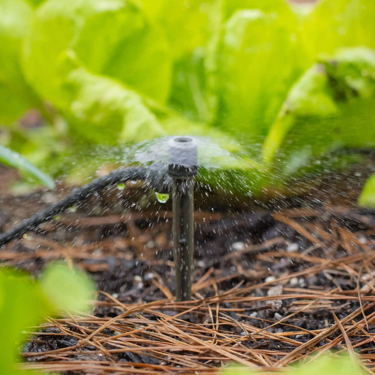 Fountain Sprinkler for Irrigation Kit