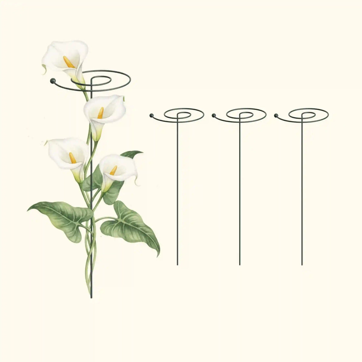Single Stem Plant Support Spiral  - 3 Pack