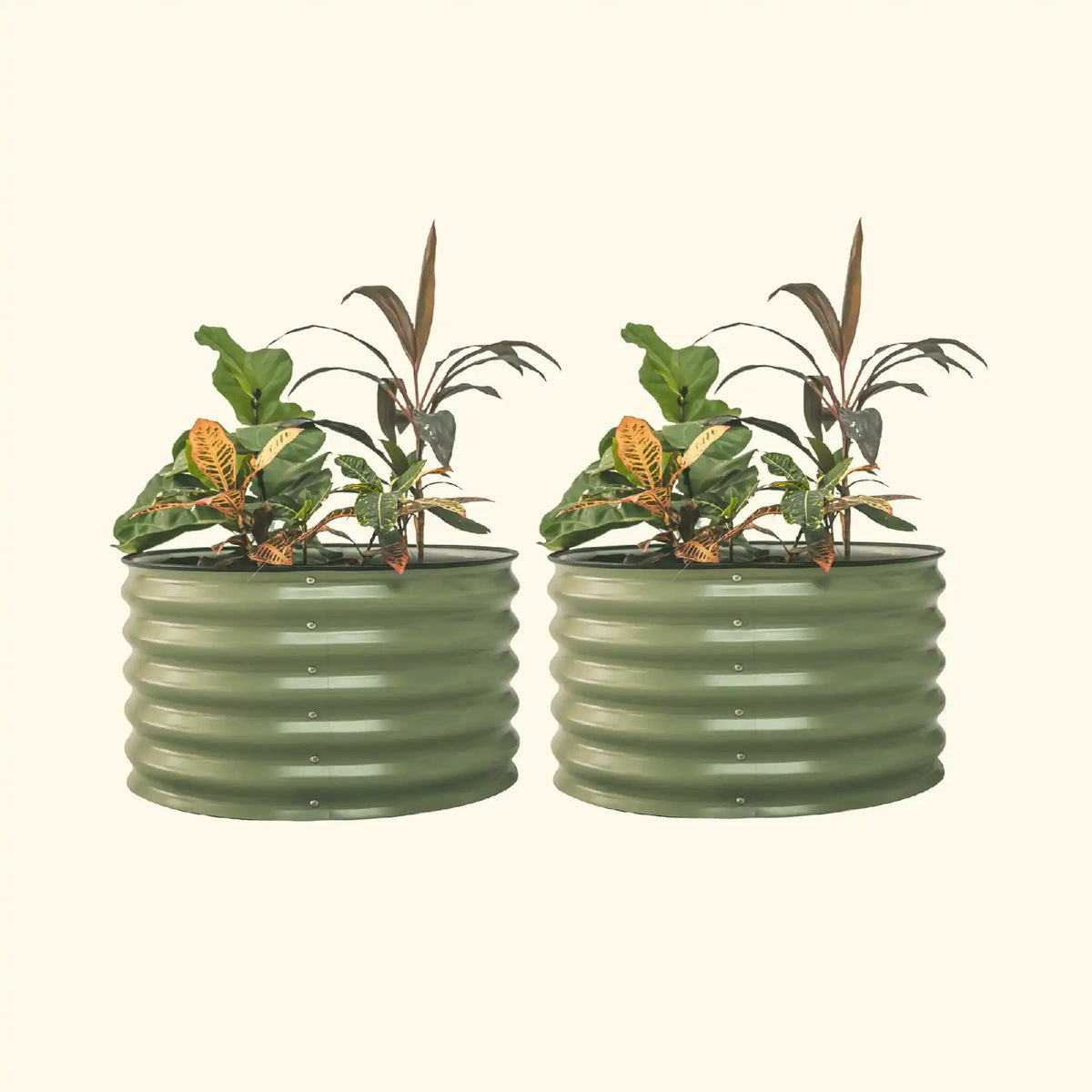 17" Tall Berry Garden Bed 30" Wide - Twin Pack