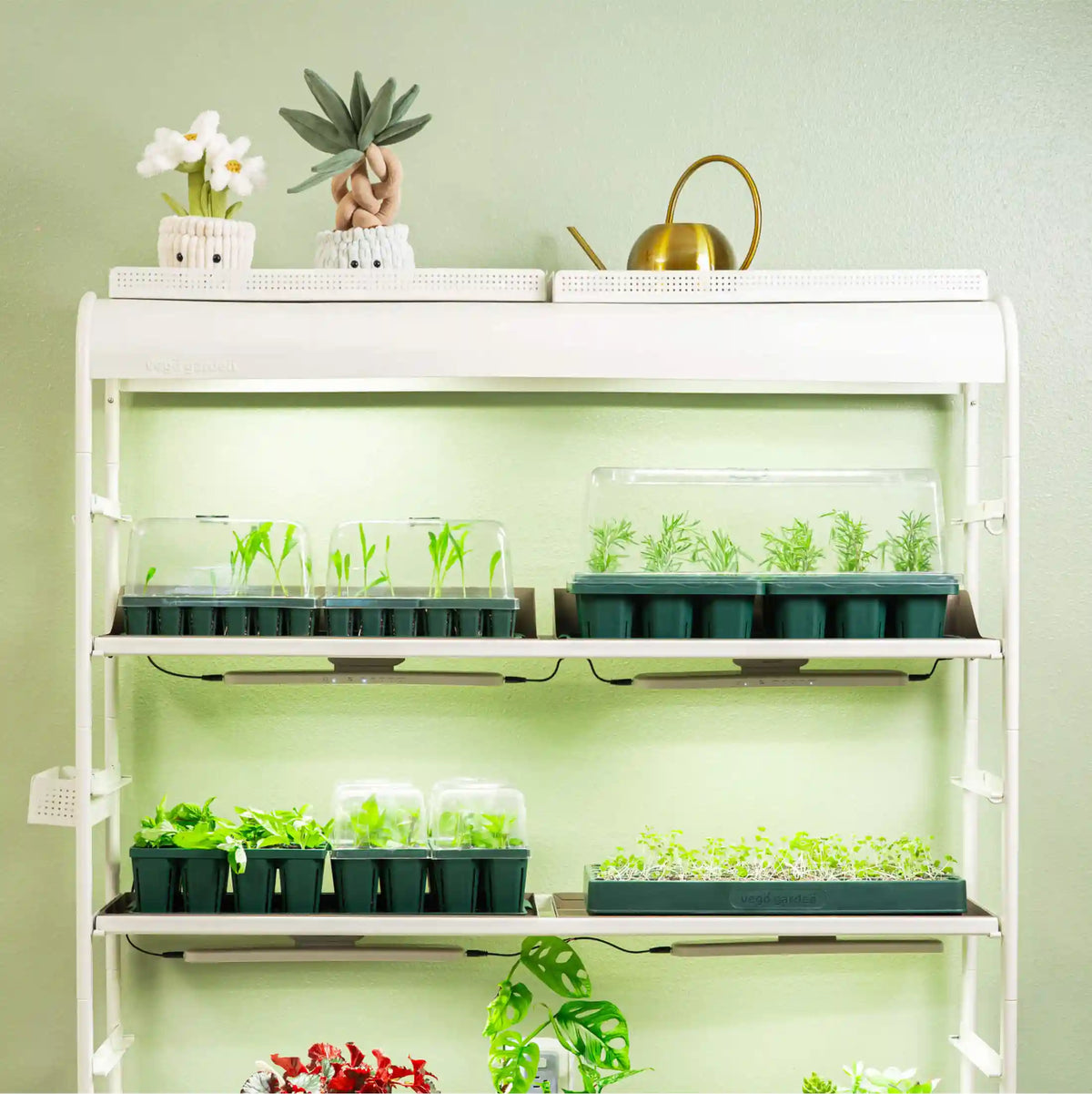 Jumbo/Giga 1020 Up Pot Bundle