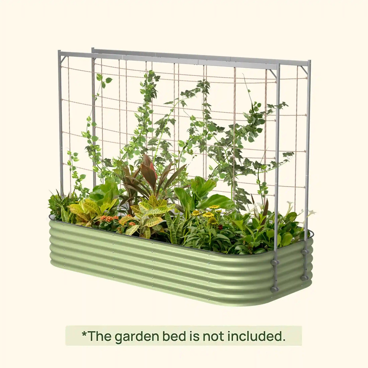 Metal Frame String Trellis