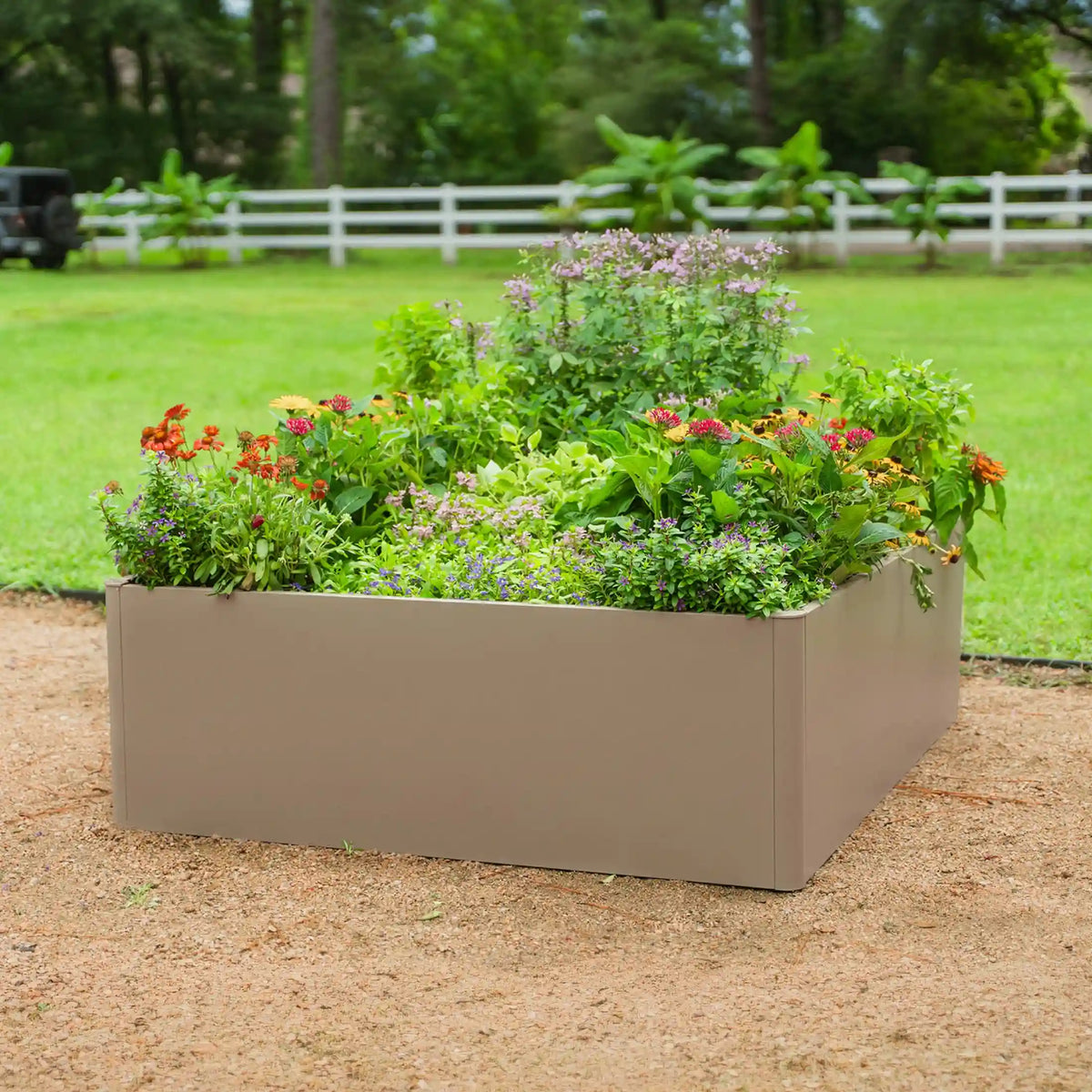 17" Tall Modern 4' x 4' Metal Raised Garden Bed