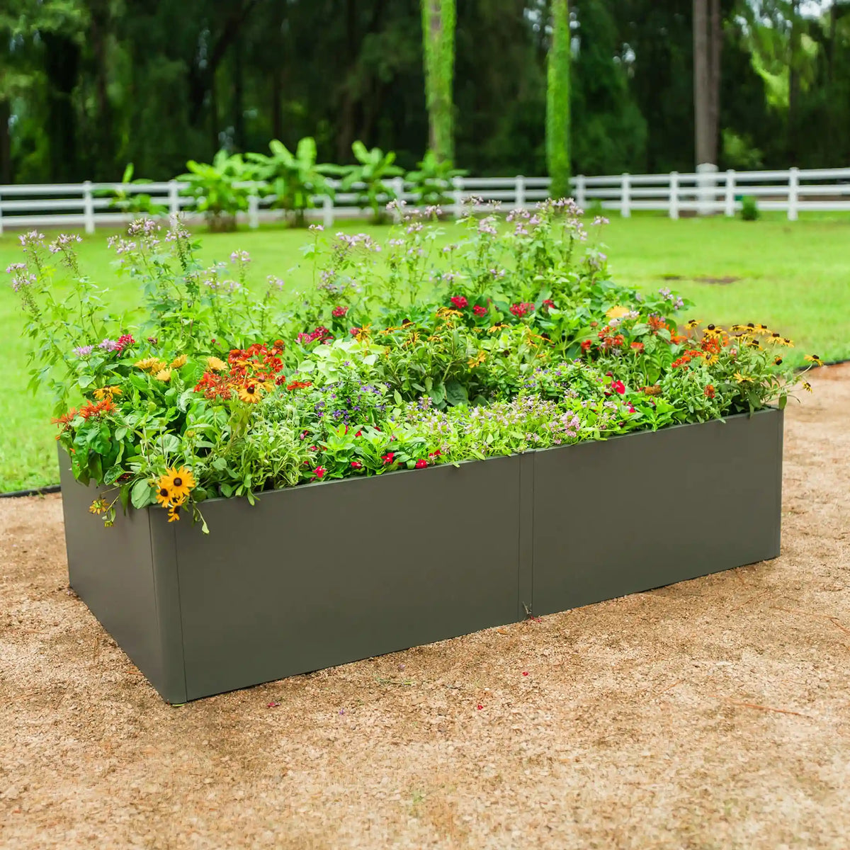 17" Tall Modern 3' x 6' Metal Raised Garden Bed
