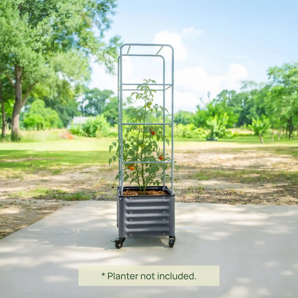 Metal Cage for Classic Rolling Cube Planter