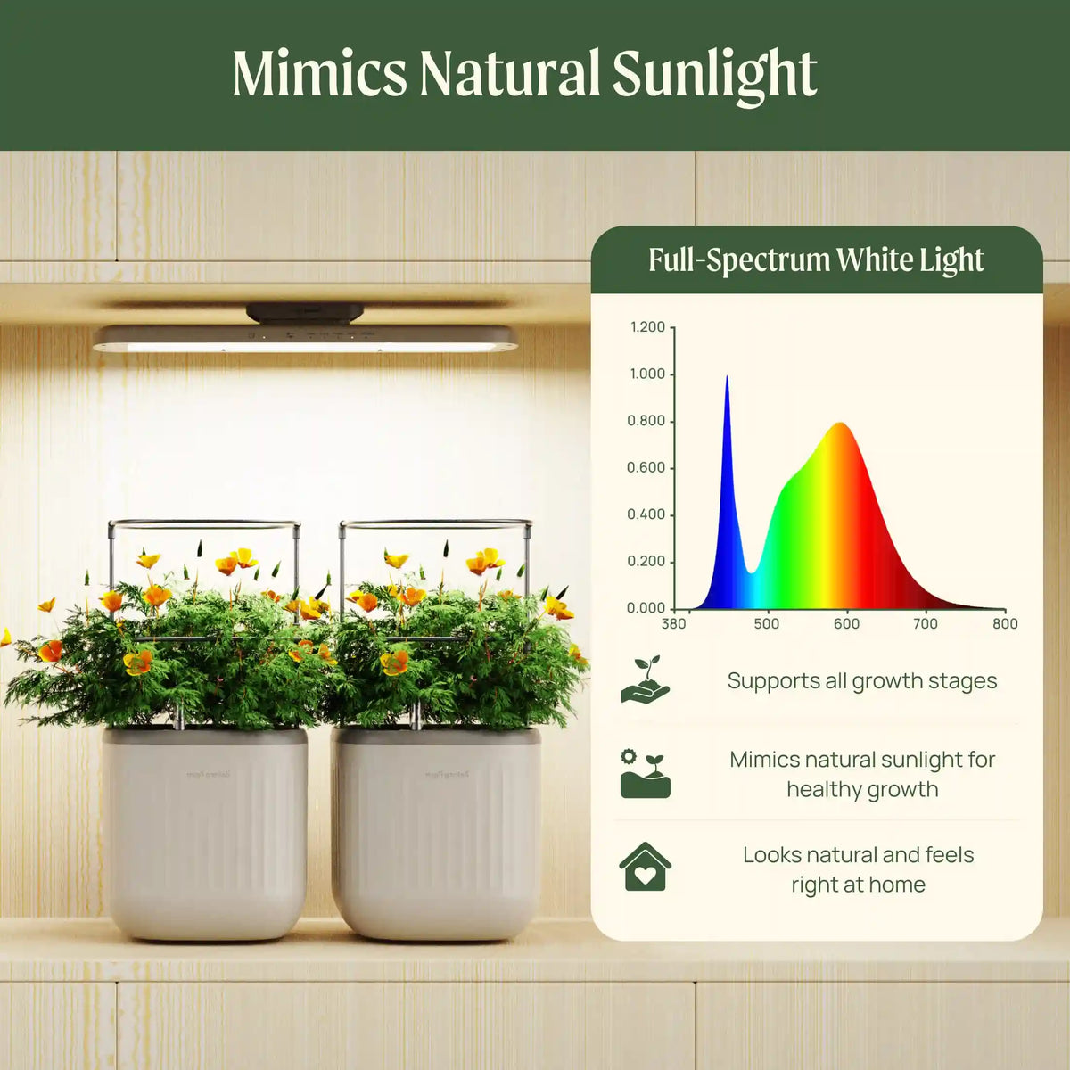Classic Grow Light