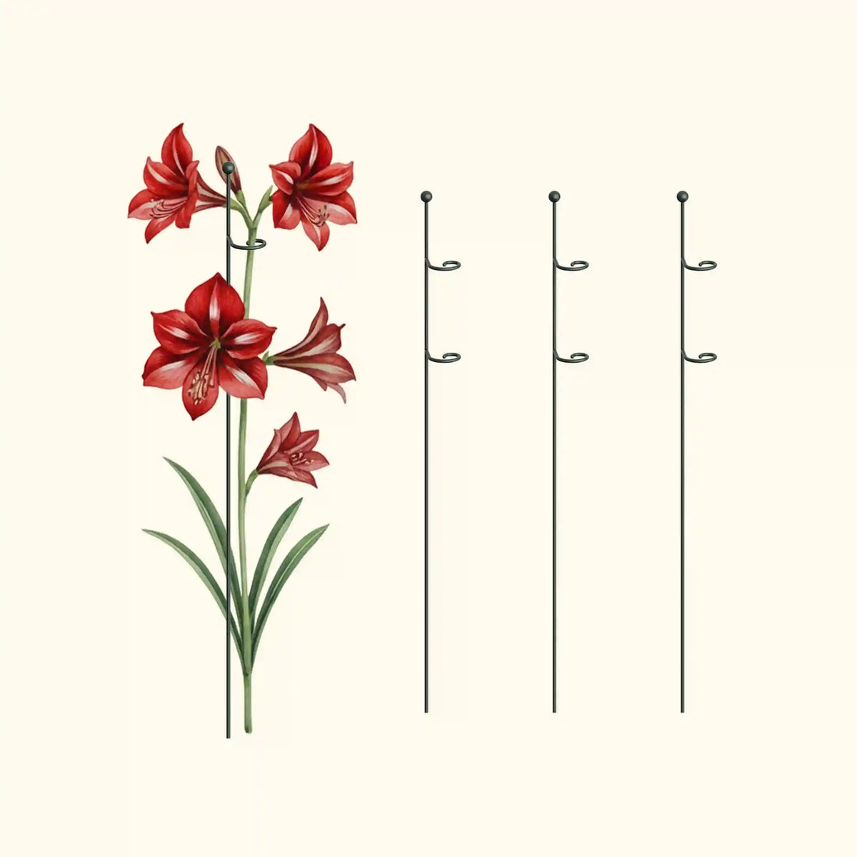 Single Stem Plant Support Loop - 3 Pack